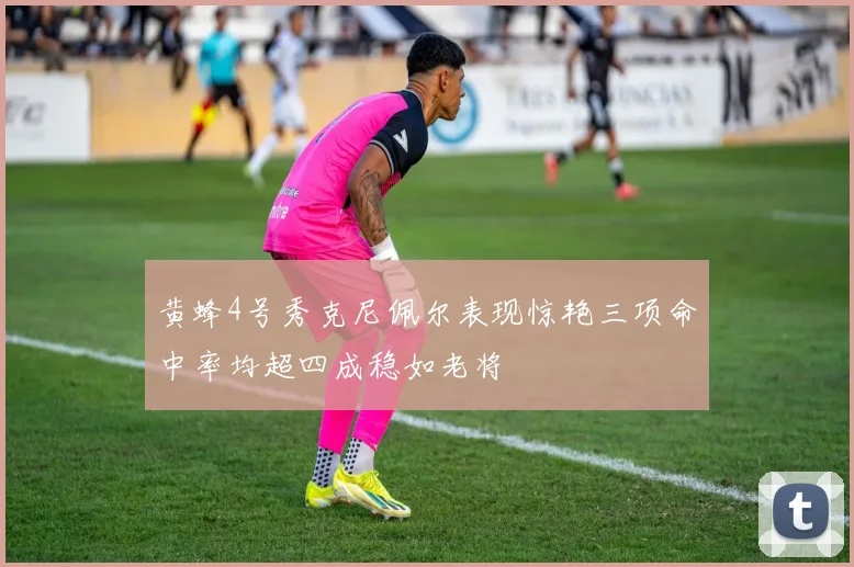 黄蜂4号秀克尼佩尔表现惊艳三项命中率均超四成稳如老将